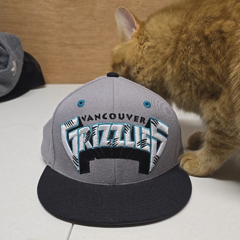 Mitchell & Ness Gray and Black Vancouver Grizzlies Hat